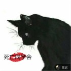 死亡同学会