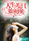 人生若只如初见