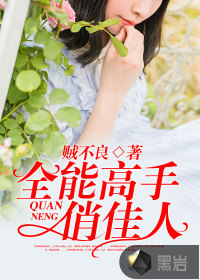 全能高手俏佳人