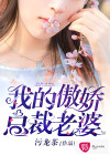 我的傲娇总裁老婆