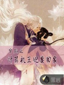 穿越之计算机王妃要回家
