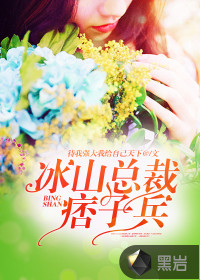 冰山总裁痞子兵