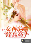 女神的修真高手