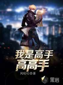 我是高手高高手