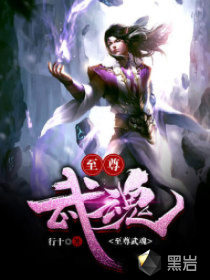 至尊武魂