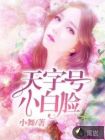 天字号小白脸