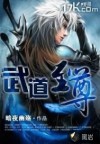 武道至尊