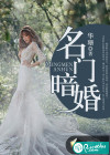 名门暗婚