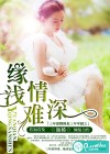 缘浅情难深