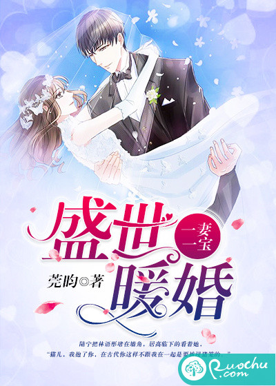 盛世暖婚：一妻一宝
