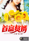 首富贅婿