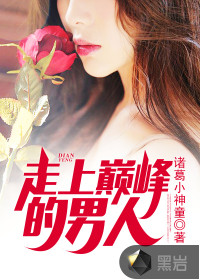 走上巅峰的男人