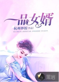 一品女婿