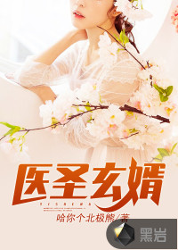 醫(yī)圣玄婿