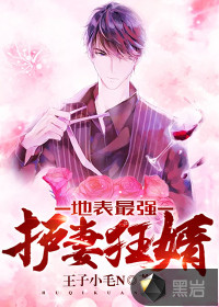 地表最強(qiáng)護(hù)妻狂婿