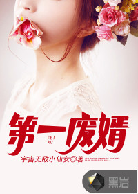 第一廢婿