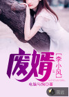 废婿，李小风