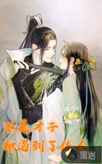 不是才子 卻遇到了佳人