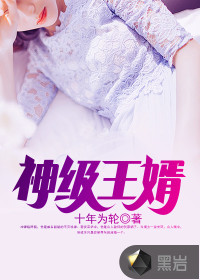 神級王婿