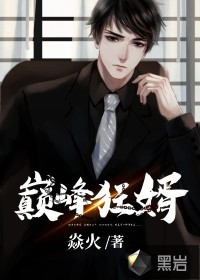 巔峰狂婿