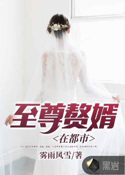 至尊赘婿在都市