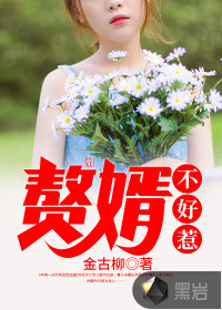 贅婿不好惹
