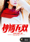 神婿無(wú)雙
