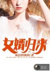 女婿歸來