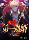 天下第一強(qiáng)婿