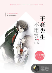 于亮先生，不用等我
