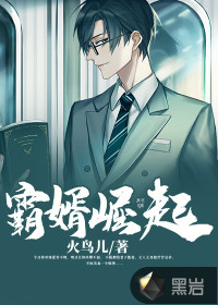 霸婿崛起