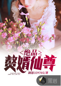 絕品贅婿仙尊