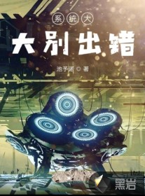 系统大大别出错