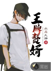 王牌贅婿