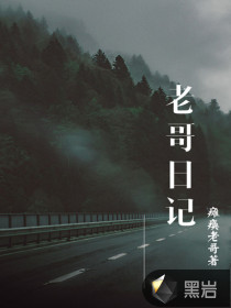 老哥日记