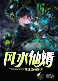 風(fēng)水仙婿