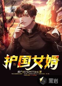 護(hù)國女婿
