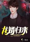 龍婿歸來(lái)