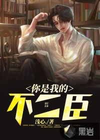你是我的不二臣