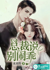 总裁说：别闹，乖