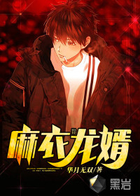 麻衣龍婿