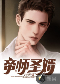 帝師圣婿