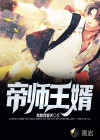 帝師王婿