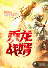 乘龙战婿
