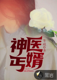 神醫(yī)丐婿