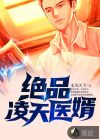 绝品凌天医婿
