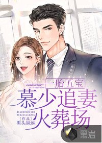 一胎五寶:慕少追妻火葬場