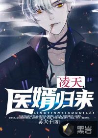 凌天醫(yī)婿歸來