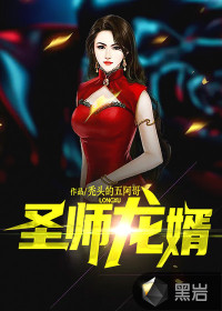 圣師龍婿