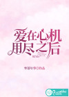 爱在心机用尽之后